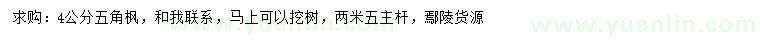 求購4公分五角楓