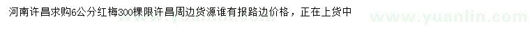 求購6公分紅梅