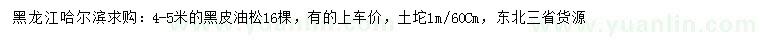 求購(gòu)4-5米黑皮油松