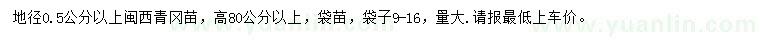 求購地徑0.5公分以上閩西青岡苗