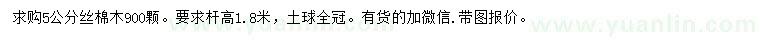 求購5公分絲棉木