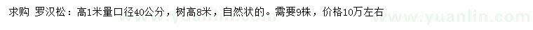 求購(gòu)40公分羅漢松