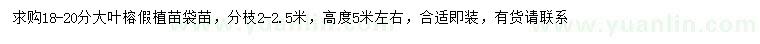 求購18-20公分大葉榕假植苗