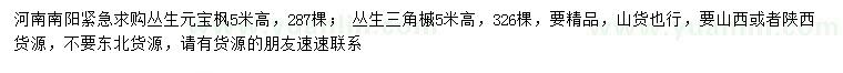 求購(gòu)高5米叢生元寶楓、叢生三角槭