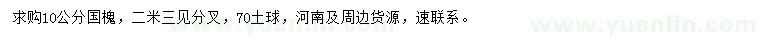 求購10公分國槐