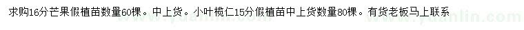 求購16公分芒果、15公分小葉欖仁