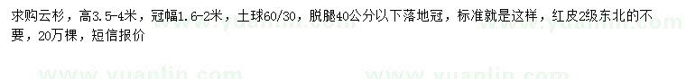求購高3.5-4米云杉