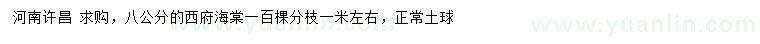 求購(gòu)8公分西府海棠