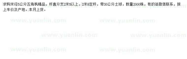 求購米徑5公分五角楓