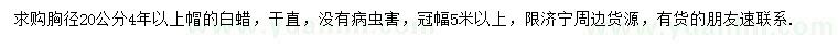 求購胸徑20公分白蠟