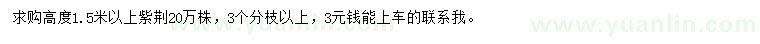 求購(gòu)高度1.5米以上紫荊