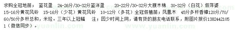 求購藍(lán)花楹、大腹木板、假萍婆等