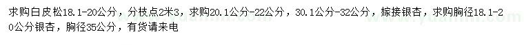 求購白皮松、嫁接銀杏、銀杏