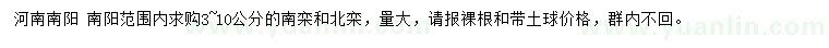 求購3-10公分南欒、北欒