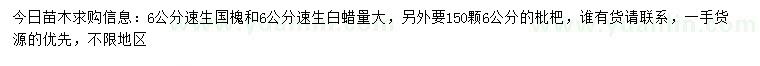 求購速生國槐、速生白蠟、枇杷