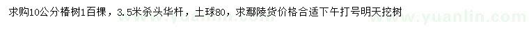 求購10公分椿樹