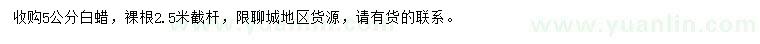 求購5公分白蠟