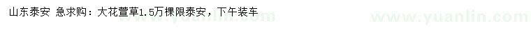 求購(gòu)大花萱草