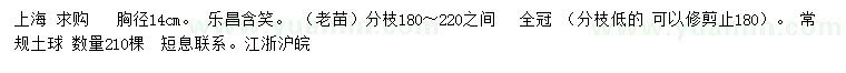求購胸徑14公分 樂昌含笑