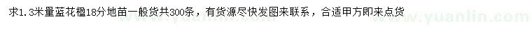 求購(gòu)1.3米量18公分藍(lán)花楹