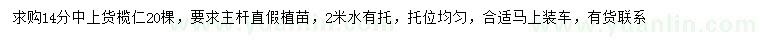 求購14公分欖仁