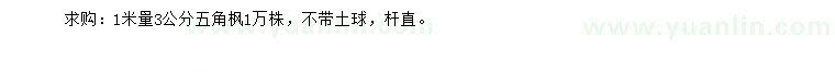 求購1米量3公分五角楓