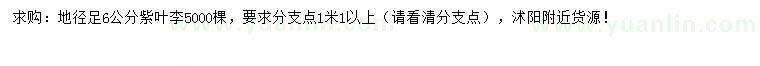 求購(gòu)地徑足6公分紫葉李