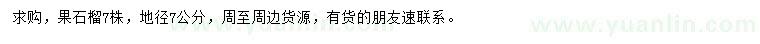求購地徑7公分果石榴