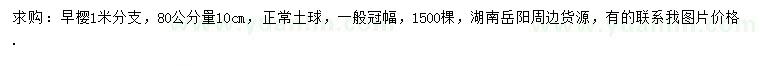 求購80公分量10公分早櫻