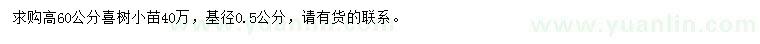 求購(gòu)高60公分喜樹(shù)小苗