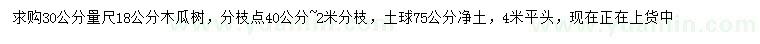 求購30公分量尺18公分木瓜樹