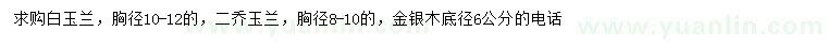 求購白玉蘭、二喬玉蘭、金銀木