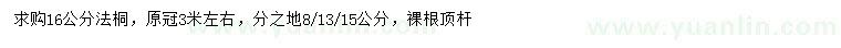 求購16公分法桐