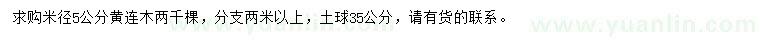 求購米徑5公分黃連木
