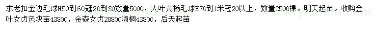 求購金邊毛球、大葉黃楊毛球、金森女貞等