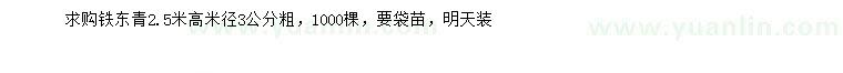 求購(gòu)米徑3公分鐵冬青