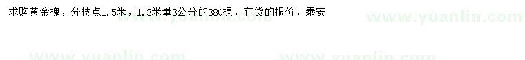 求購1.3米量3公分黃金槐