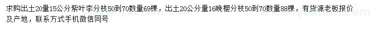 求購(gòu)出土20量15公分紫葉李、16公分晚櫻