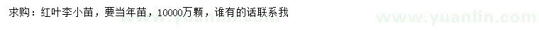 求購紅葉李小苗