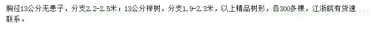 求購胸徑13公分無患子、櫸樹