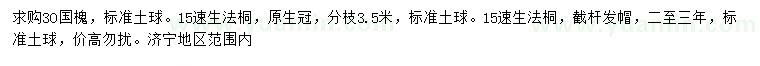 求購(gòu)30公分國(guó)槐、15公分速生法桐