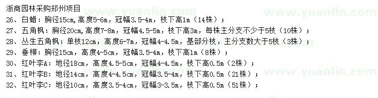 求購白蠟、五角楓、叢生五角楓等