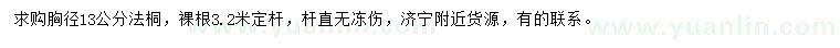 求購胸徑13公分法桐