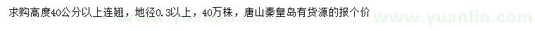 求購高度40公分以上連翹