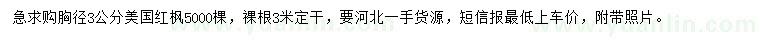 求購胸徑3公分美國紅楓