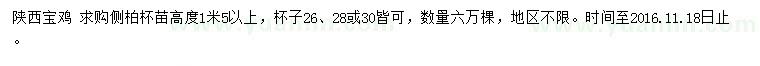 求購高度1.5米以上側(cè)柏苗