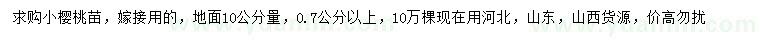 求購10公分量0.7公分以上小櫻桃苗