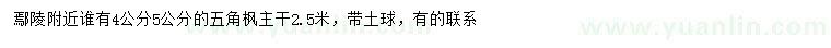 求購4、5公分五角楓