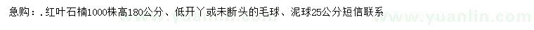 求購高180公分紅葉石楠