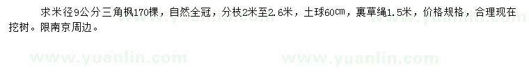 求購米徑9公分三角楓